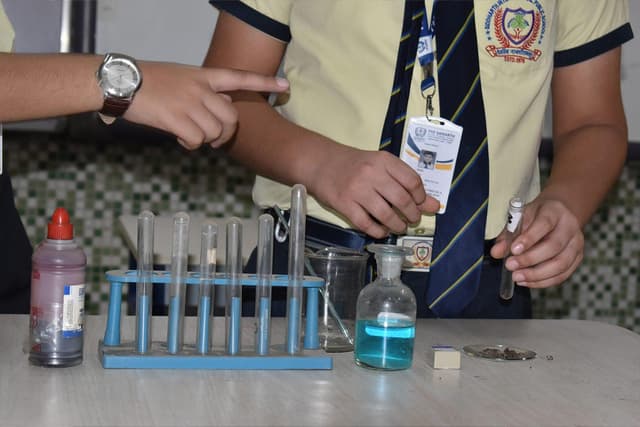 The Samarth School Gallery