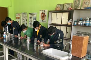 Divya Arya Vidya Public School Gallery