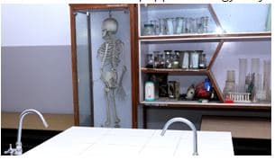 M G M Co-Ed Higher Secondary School Gallery