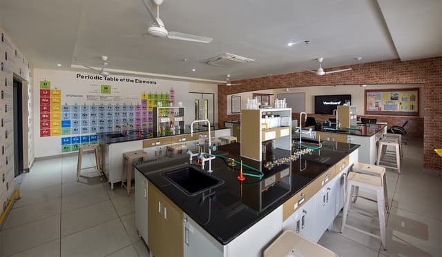 Camellia Public School Gallery