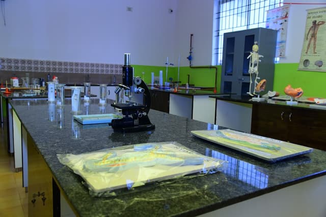 Genius Global School Gallery