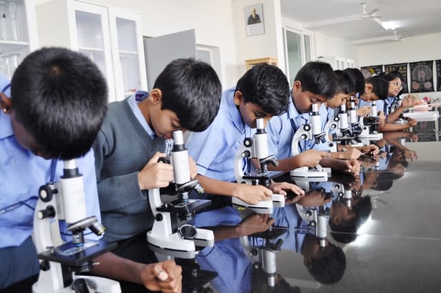 Chinmaya Vidyalaya Gallery