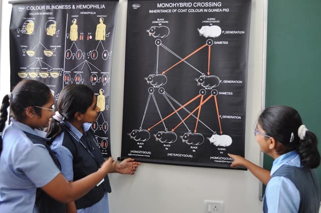 Chinmaya Vidyalaya Gallery