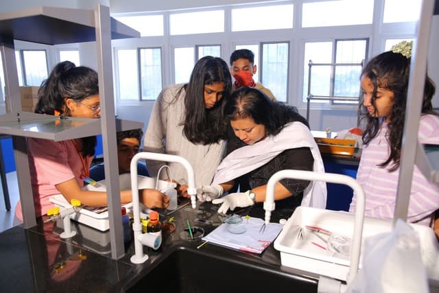 Chaman Bhartiya School Gallery