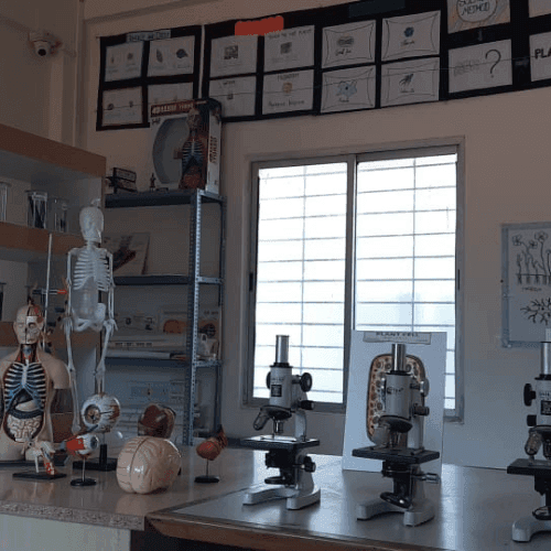 St. Philomena's Public School Gallery