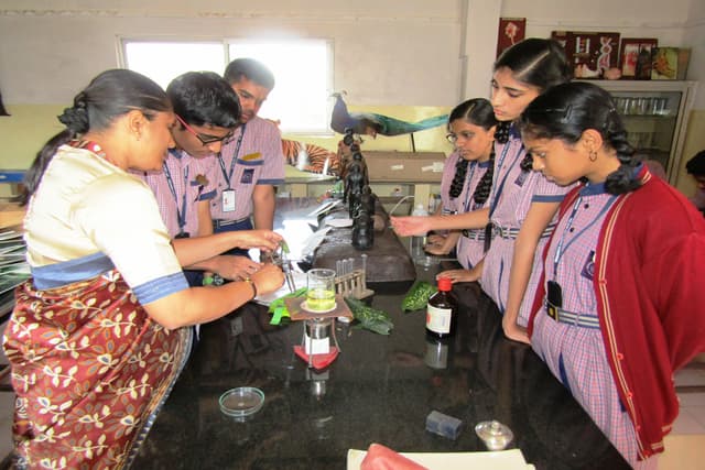 Mirambika School For New Age Gallery