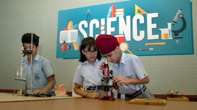 Summer Fields School Gallery