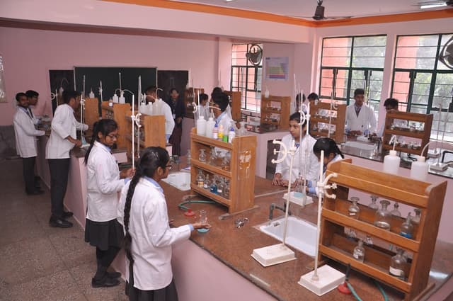 Angels Public Sr. Sec. School Gallery