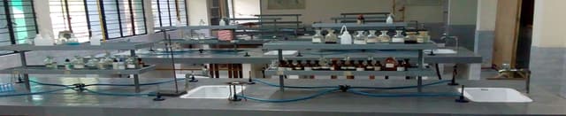 New Era Public School Gallery