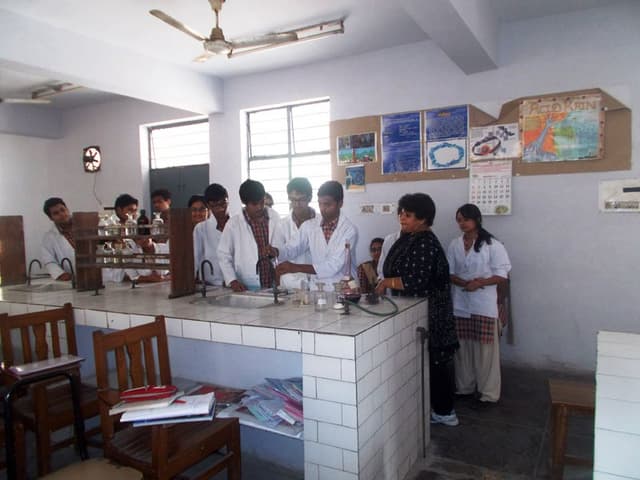 DAV Public School Gallery