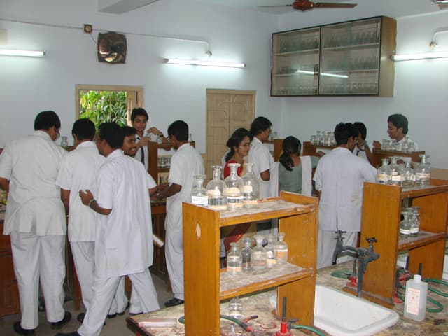 Orient Day School Gallery