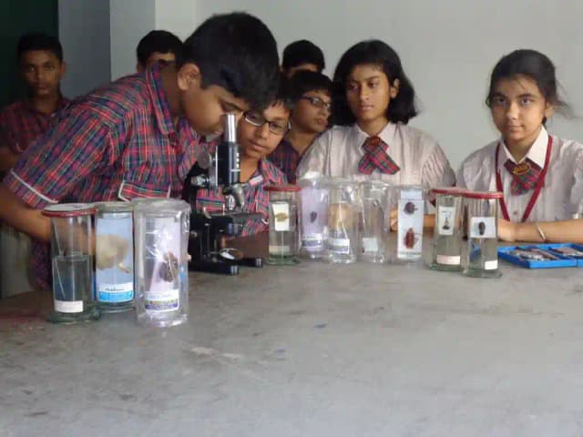 D.A.V Public School - Ruiya Gallery