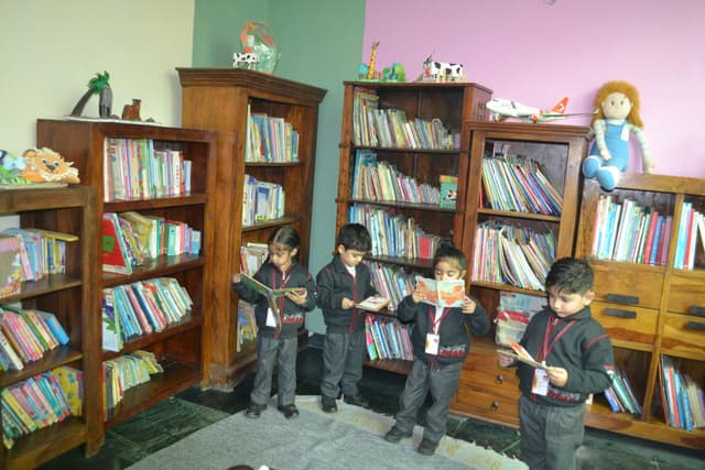 Shadley Public School Gallery