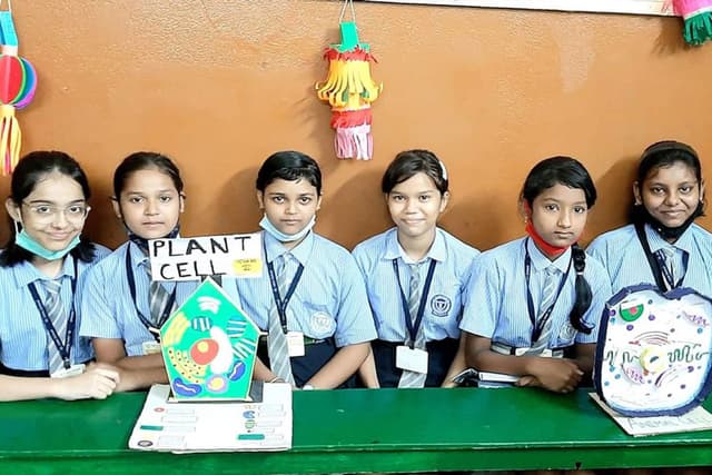 St. Clare School Gallery