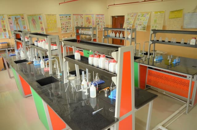 St. Xavier's High School Gallery