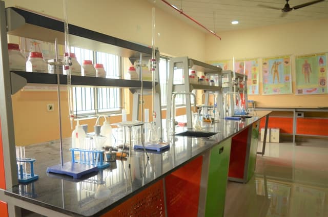 St. Xavier's High School Gallery