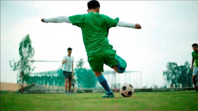 Delhi Public School Gallery