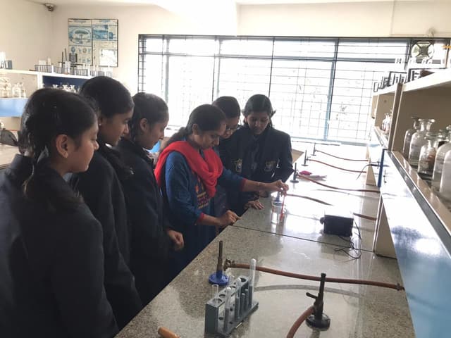 Little Flower Public School Gallery