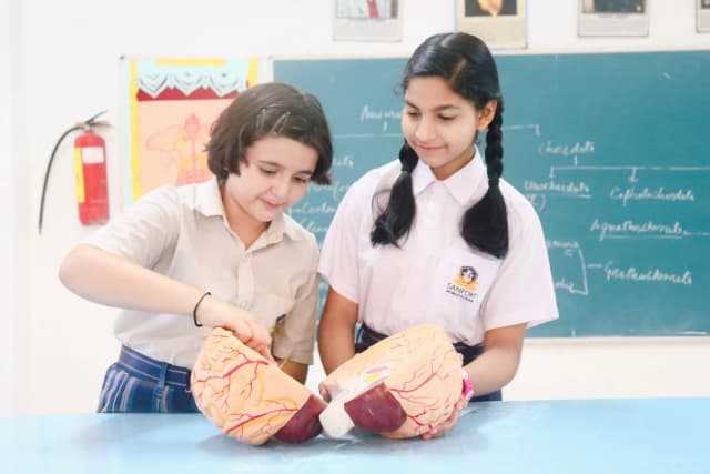 Sanfort World School GN Gallery