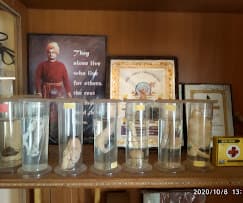 Ruby English High School Gallery