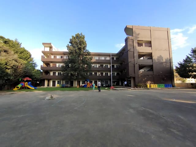 New Millennium School Gallery