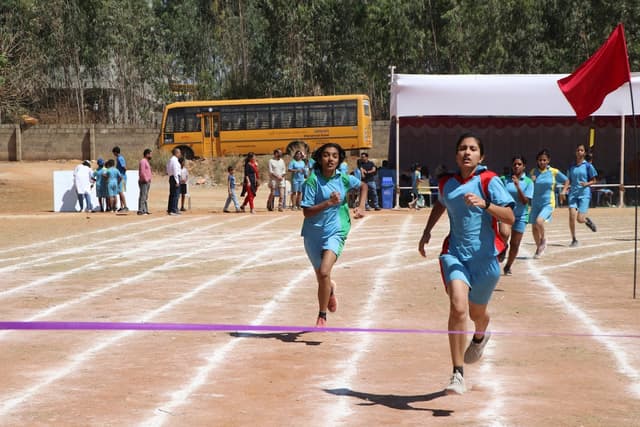 Treamis World School Gallery