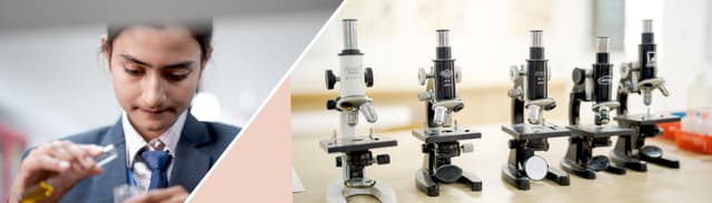 Narayana e-Techno School Gallery