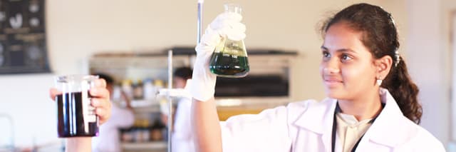 Edify World School Gallery