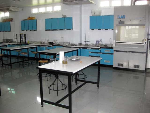 Sunshine Public School Gallery