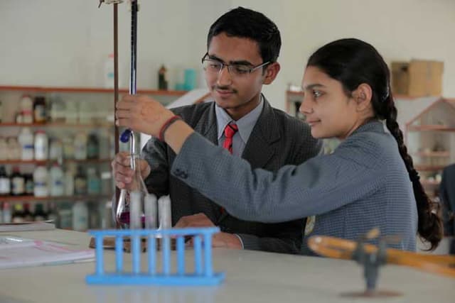 Satluj Public School Gallery