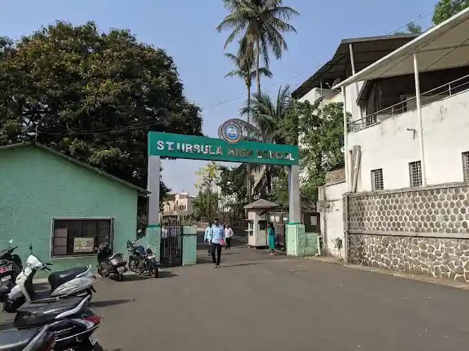 View All