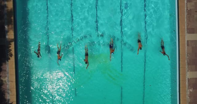 Peevees Public School Gallery