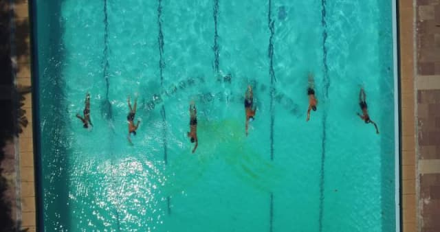 Peevees Public School Gallery