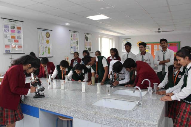 Yadu Public School Gallery