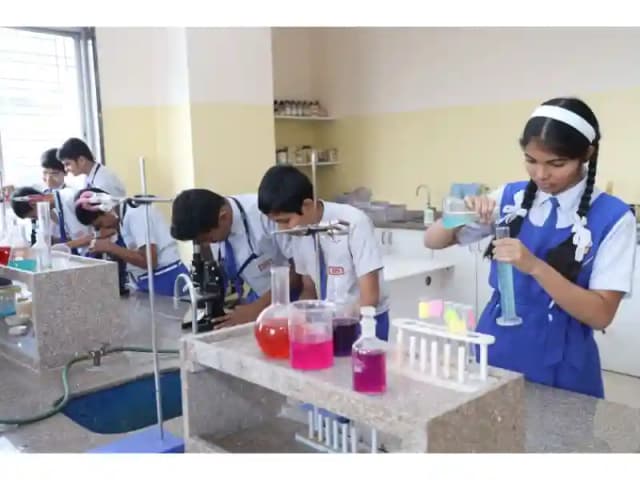 Dr. D.Y. Patil Public School Gallery