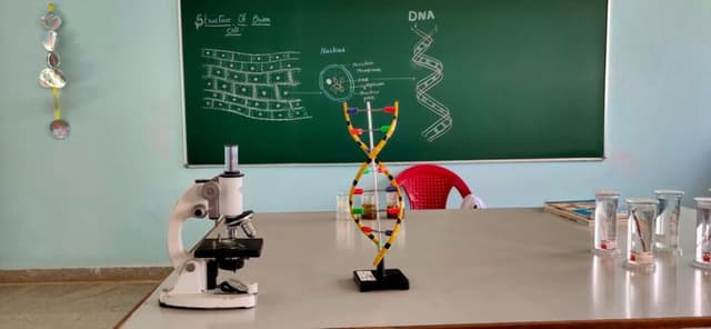 Brooklyn National Public School Gallery