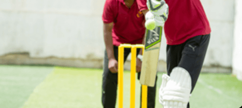 Orchids The International School Gallery