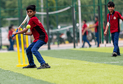 Orchids The International School Gallery