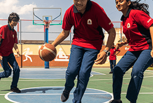 Orchids The International School Gallery