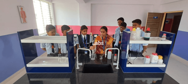 Innovative School of Excellence Gallery