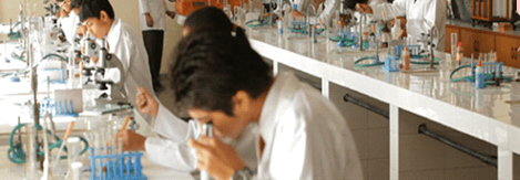 Bengaluru Public School Gallery