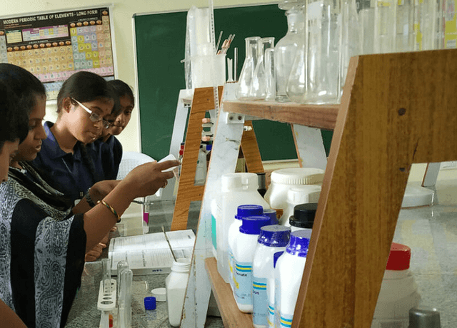 Milind Public School Gallery