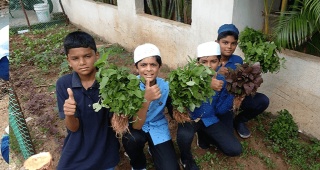 The Bay International School And Junior College Gallery