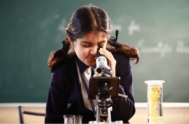 Zenas School Gallery