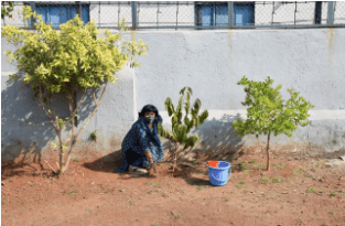 St. Mary Convent Higher Secondary School Gallery