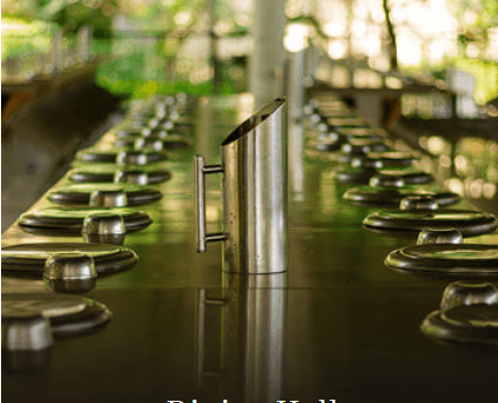 The Sanskaar Valley School Gallery