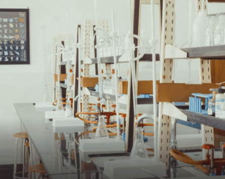 The Sanskaar Valley School Gallery