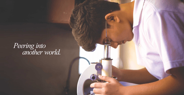 Progressive Education School-East Indore Gallery