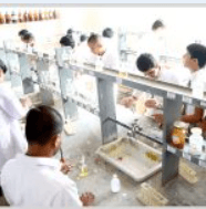 Sarafa Vidya Niketan Gallery