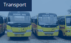 Stemfield International School Gallery